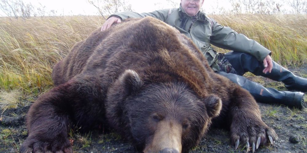 Brown Bear Hunting on the Alaska Peninsula