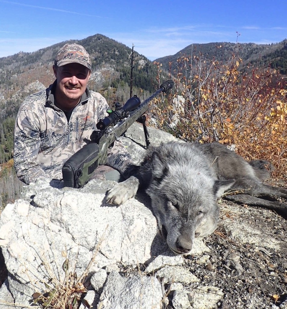Idaho Deer Hunt turns into a wolf hunt