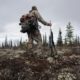 Best Calibers for Hunting Brown Bears