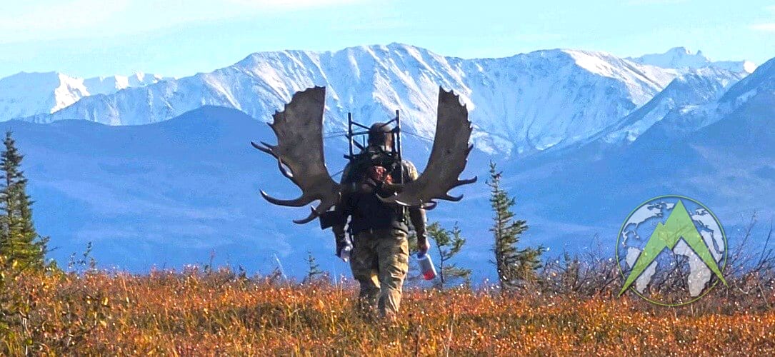 Self-Guided Moose Hunting in Alaska