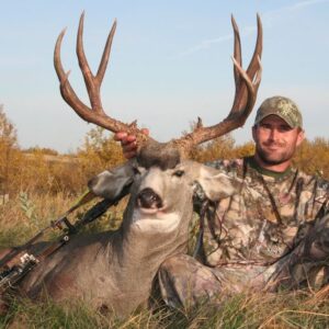 A great archery mule deer.