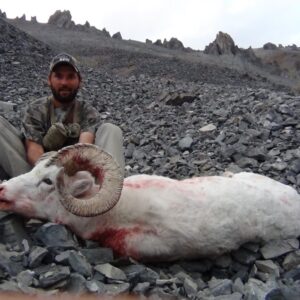 Brooks Range dall sheep hunts
