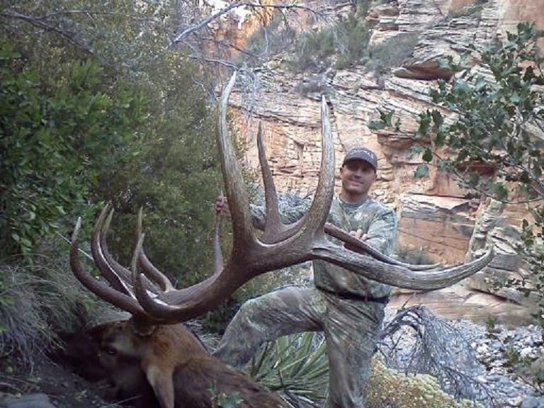 The Top 5 Elk Units in Arizona » Outdoors International