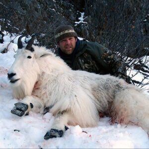 If you are looking for true trophy class billies, our hunt in BC is where' it's at! And you don't need to draw a tag.