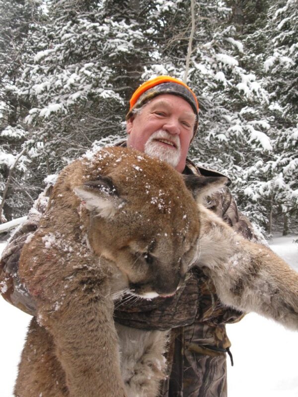 Wyoming mountain lion hunting