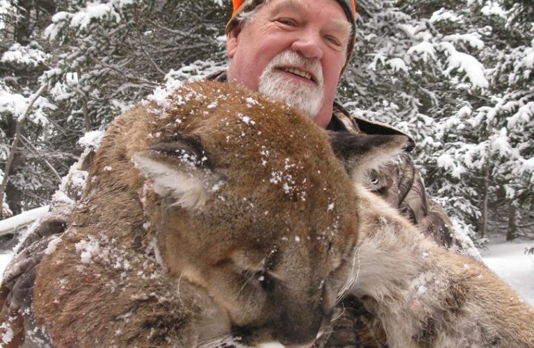 Great Plains Outfitters Wyoming Mountain Lion (5) Since this outfitter hunts the entire state of Wyoming, where you hunt depends on the snow conditions, which greatly increases your odds for success.