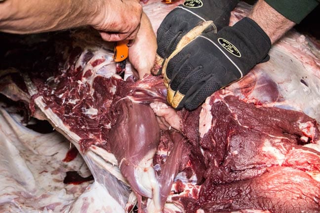 Gutless-Method-step-12 » Outdoors International Gutless Method - Step 10