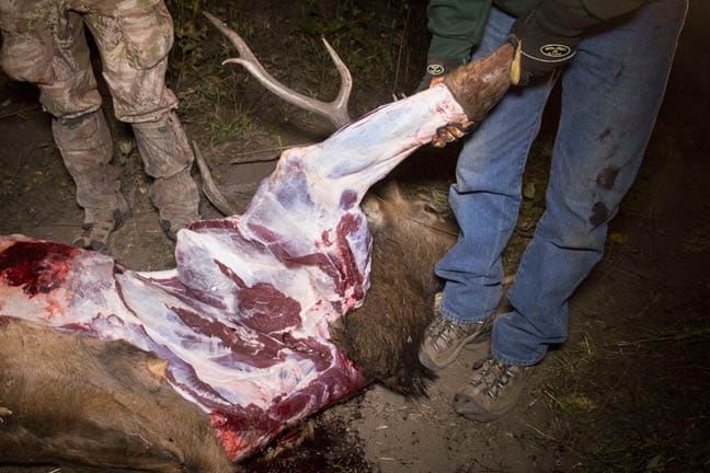 Gutless-Method-step-4 » Outdoors International Gutless Field Dressing Method - Step 4