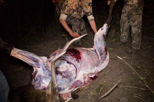 Gutless-Method-step-5 » Outdoors International Gutless Field Dressing Method - Step 5