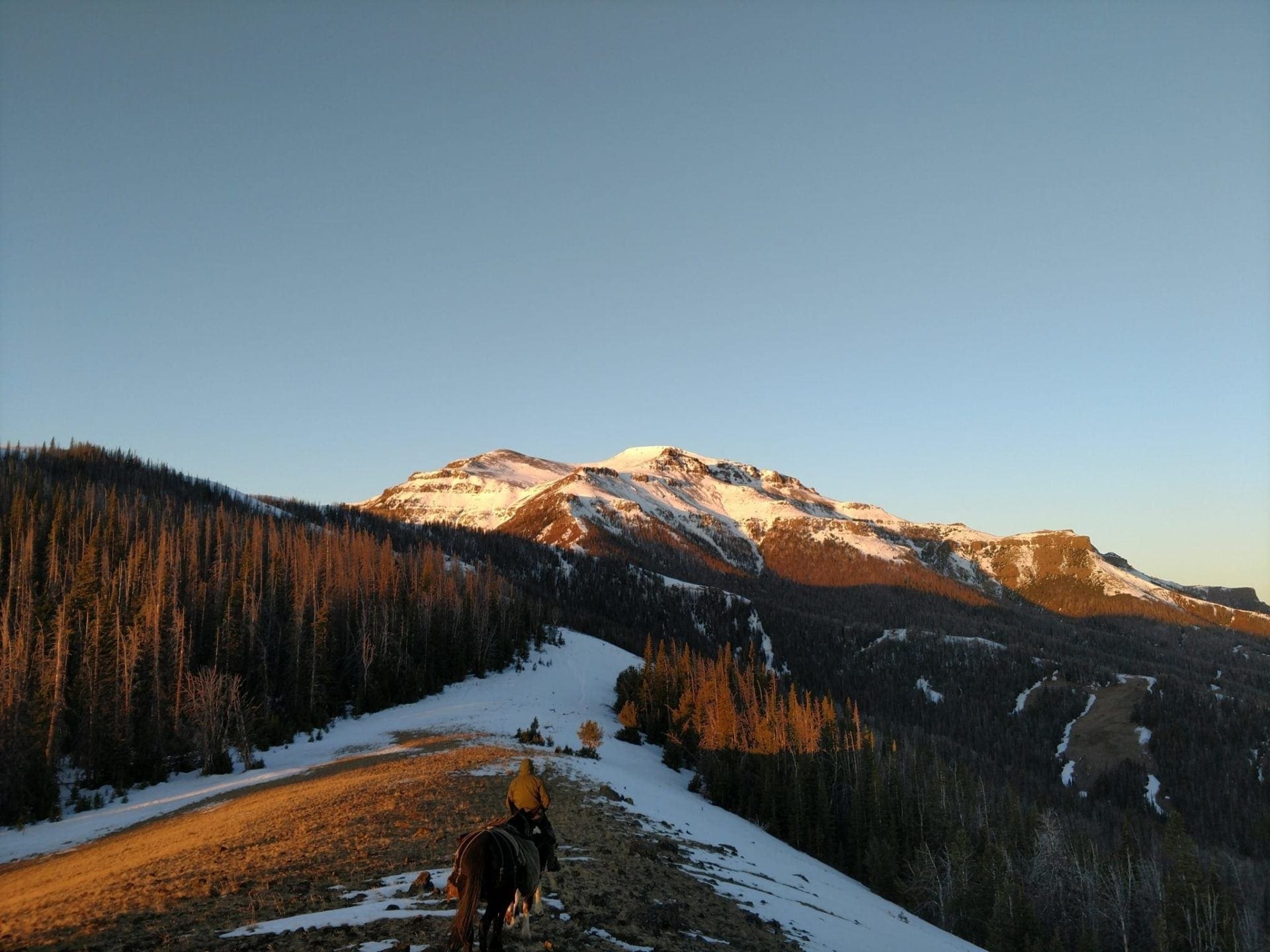 Hunting elk in Wyoming high country with horses