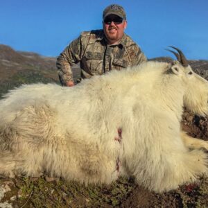 A great Alaska mountain goat