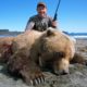 Brown Bears – Spot and Stalk or Ambush?