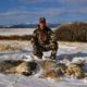 How to Call Coyotes – Coyote Hunting Basics by Clay Owens