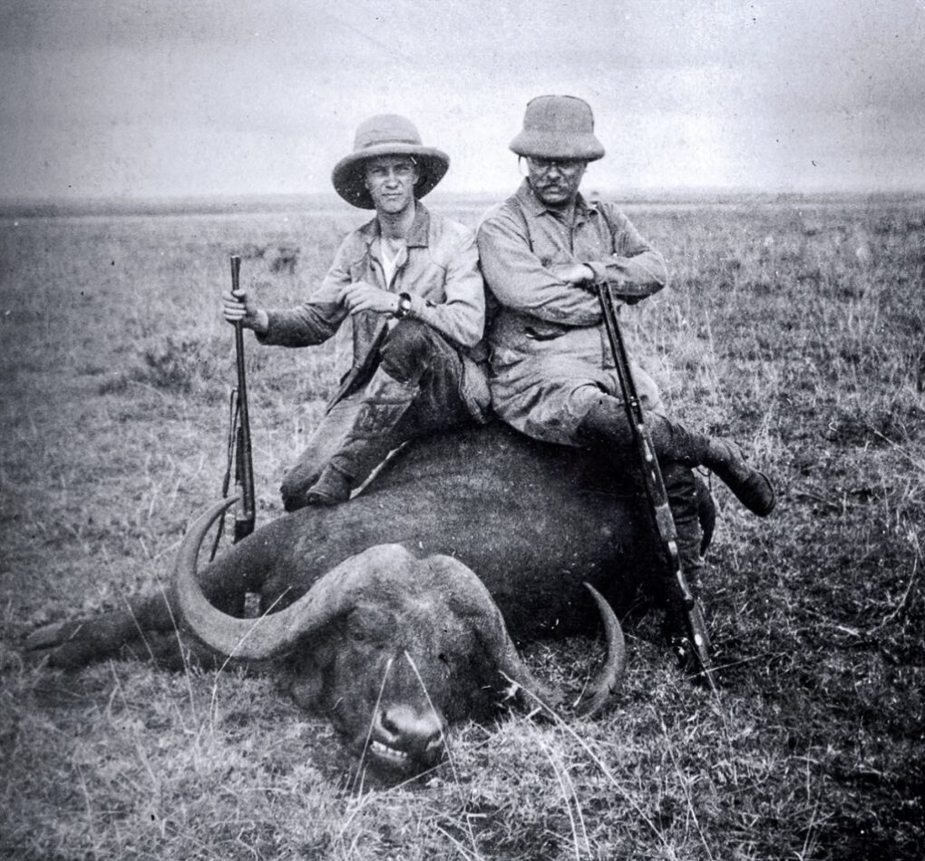 Theodore Roosevelt with a cape buffalo
