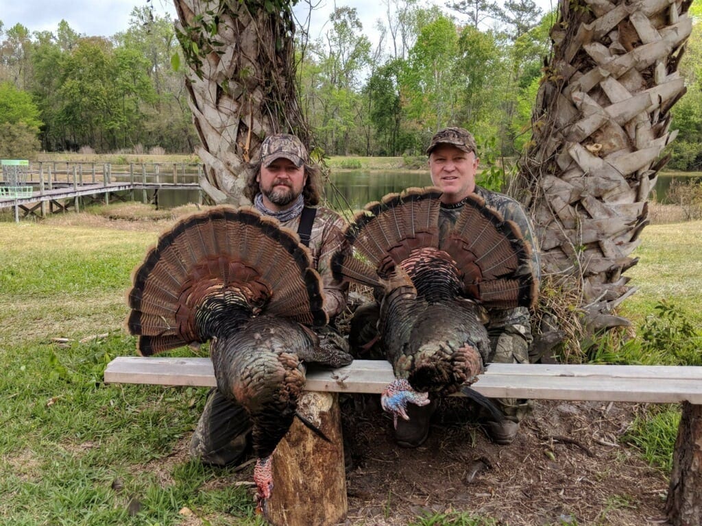 Osceola wild turkey hunting in Florida