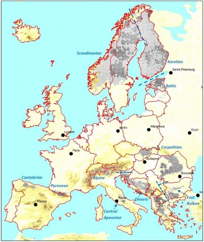 Distribution of Eurasion Brown Bears
