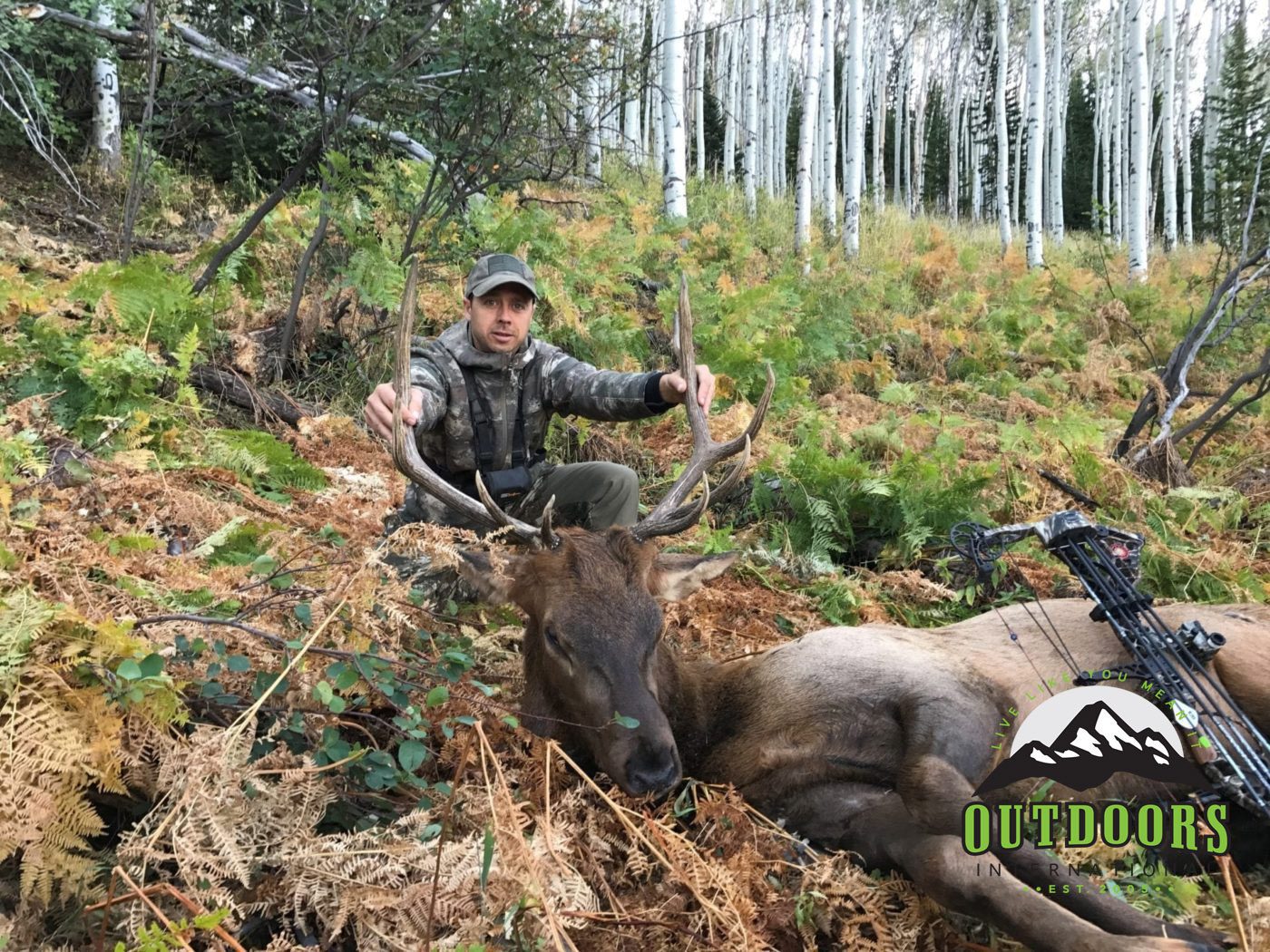 Colorado Elk Hunt Report by Ken Holman