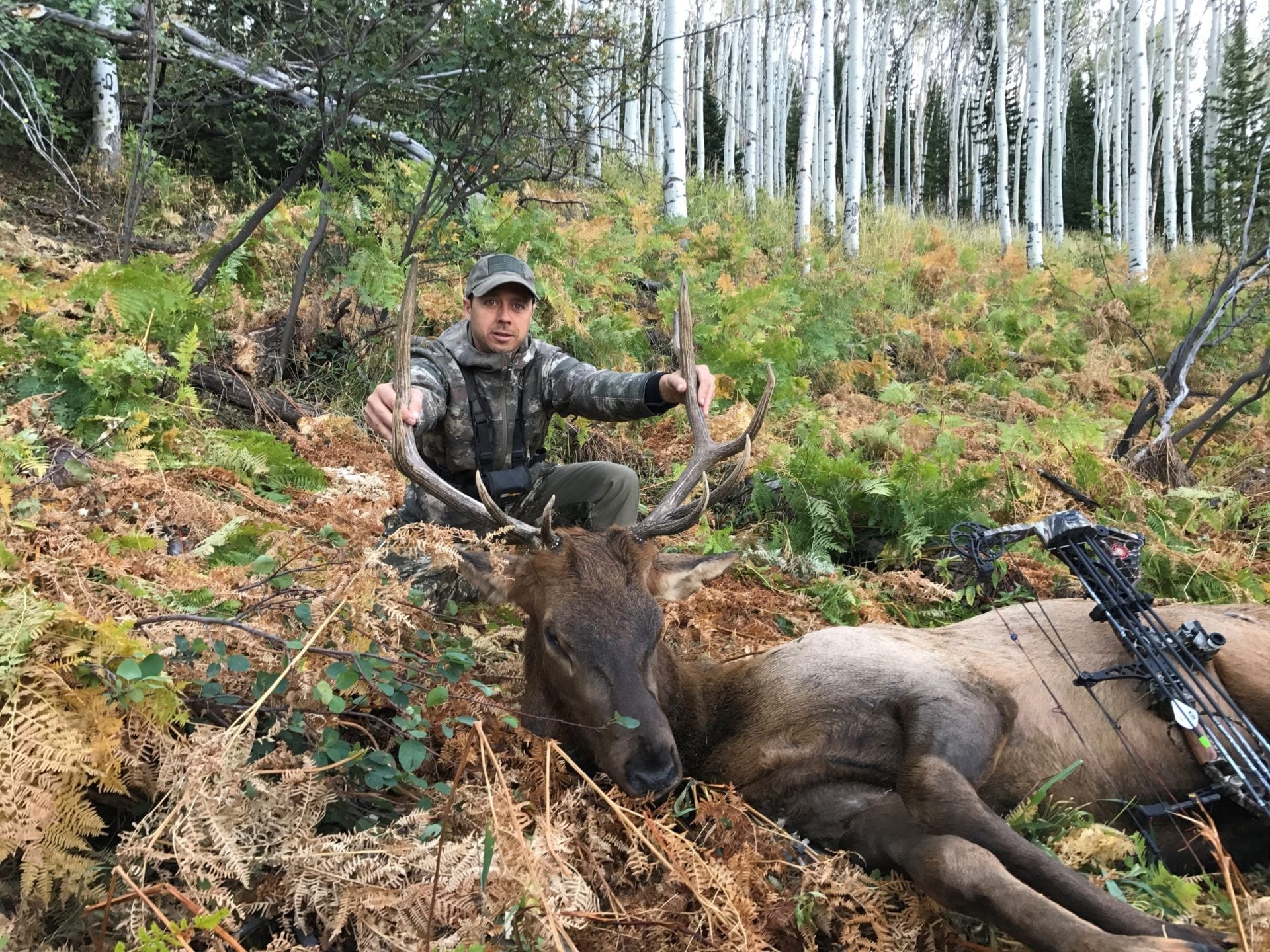 Ken Holman, Colorado Elk Hunt Report » Outdoors International