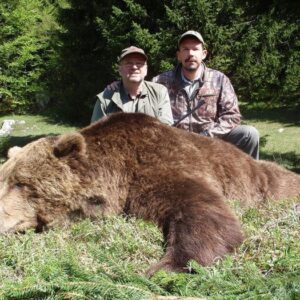 Eurasian Brown Bear Hunts