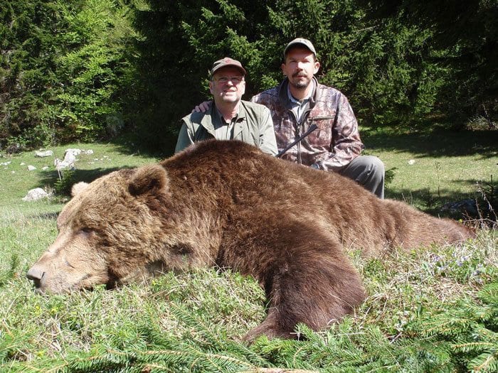 Eurasian Brown Bear Hunts