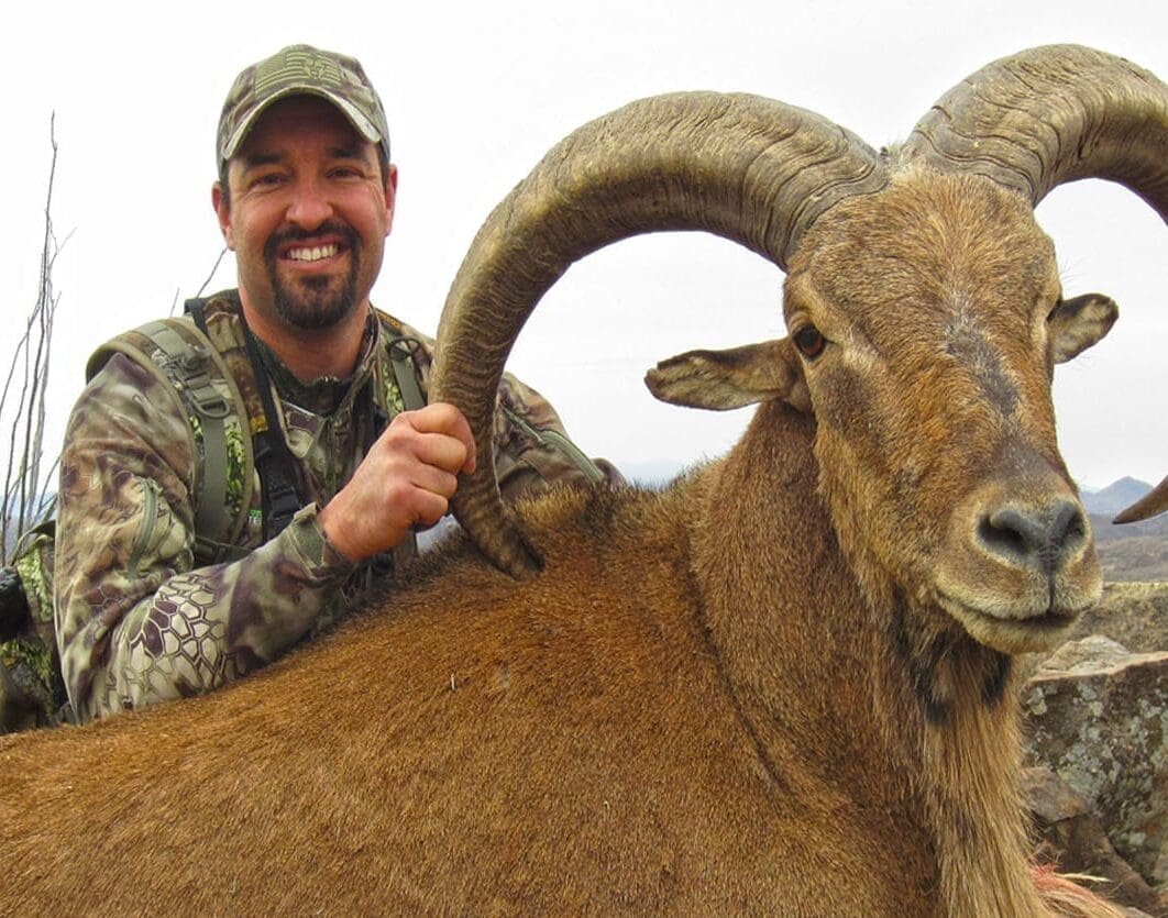 Cory Glauner with a giant aoudad.
