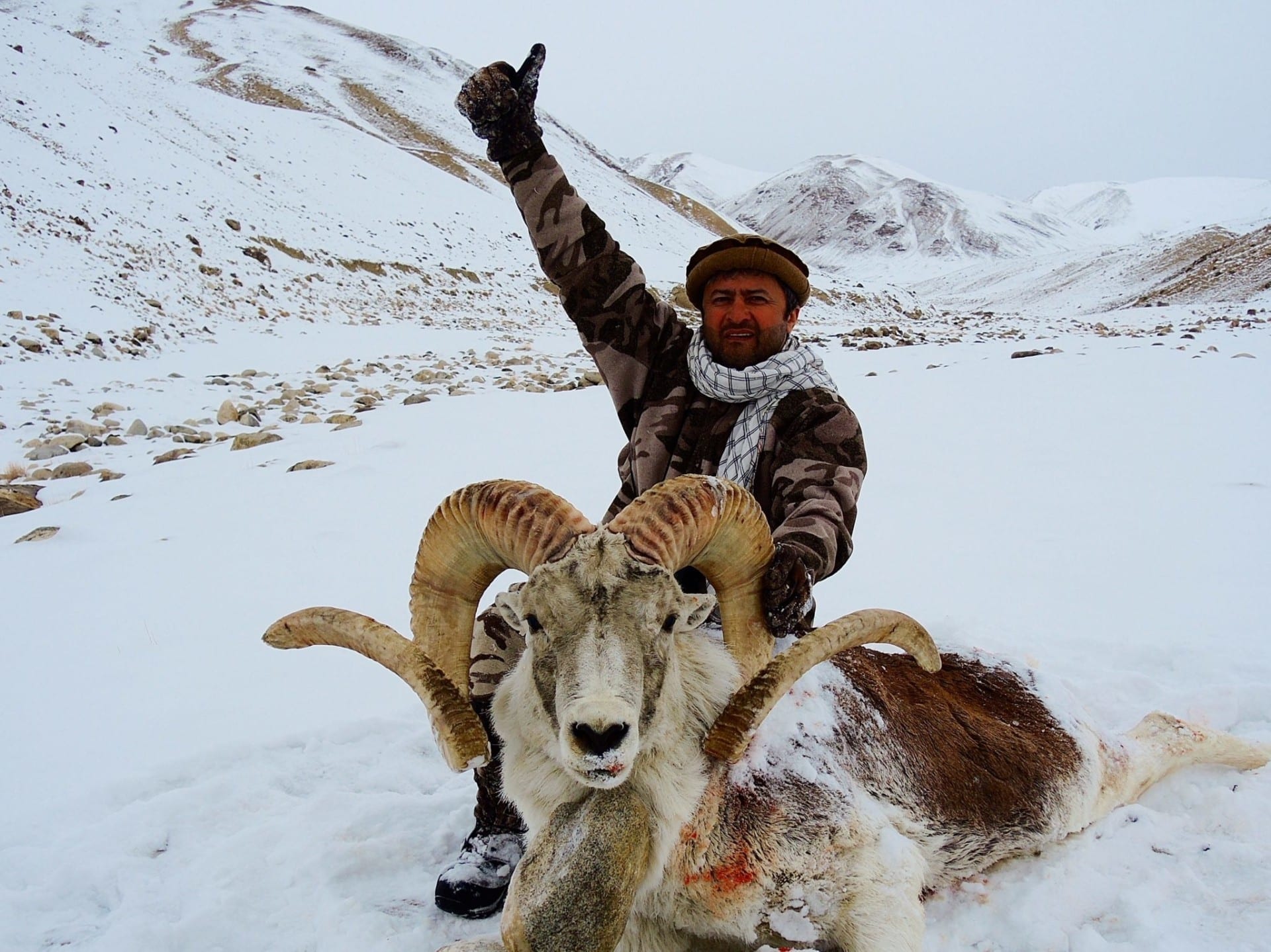 Hunting Marco Polo Sheep in Kyrgyzstan