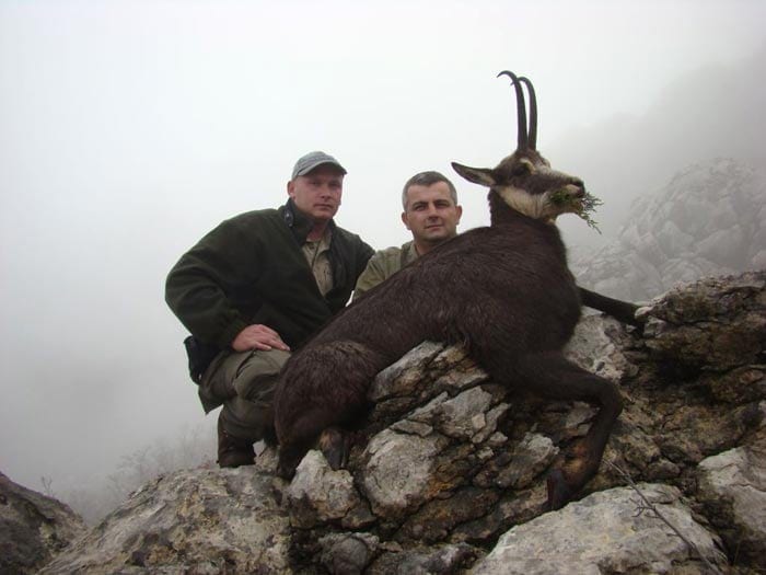 Hunting Balkan chamois in Croatia