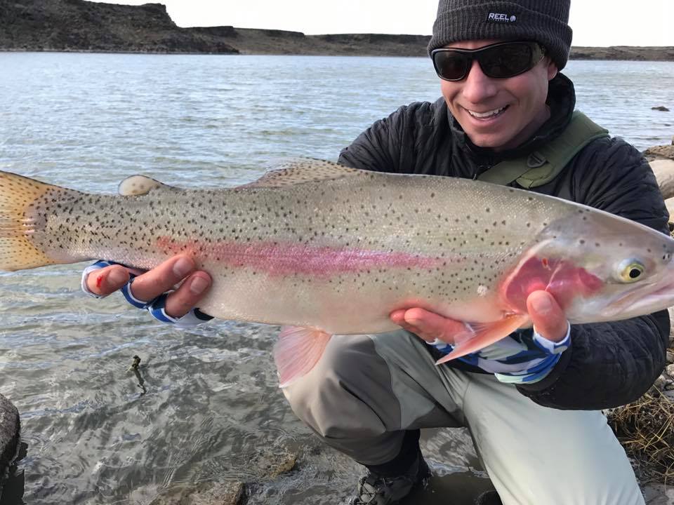 Light colored Argentina Trout