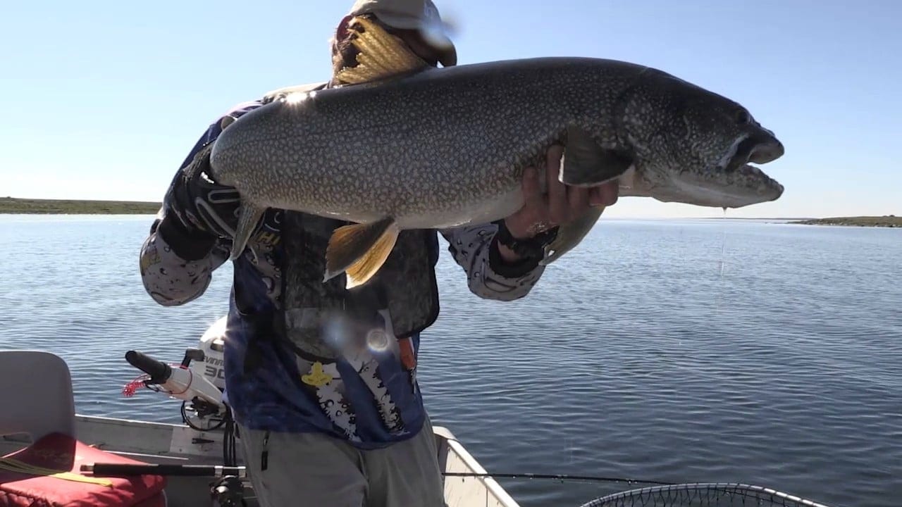 Saskatchewan Lake Trout Fishing Report by John Cleveland