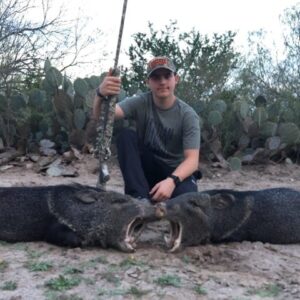 Texas Javelina hunting