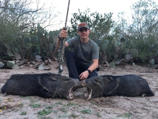 Texas Javelina hunting