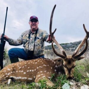 Axis Deer Hunts Texas