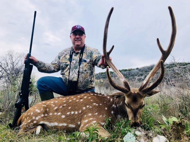 Axis Deer Hunts Texas