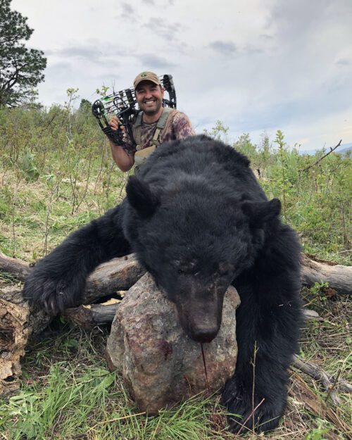 Cory's archery black bear