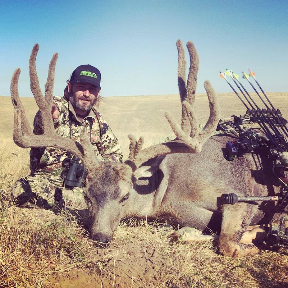A giant velvet mule deer taken by an OI client with his bow in Oregon.