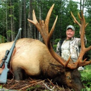 Roosevelt-elk-hunts-in-British-Columbia-with-Coastal-Inlet-Adventures-1 » Outdoors International British Columbia elk hunting