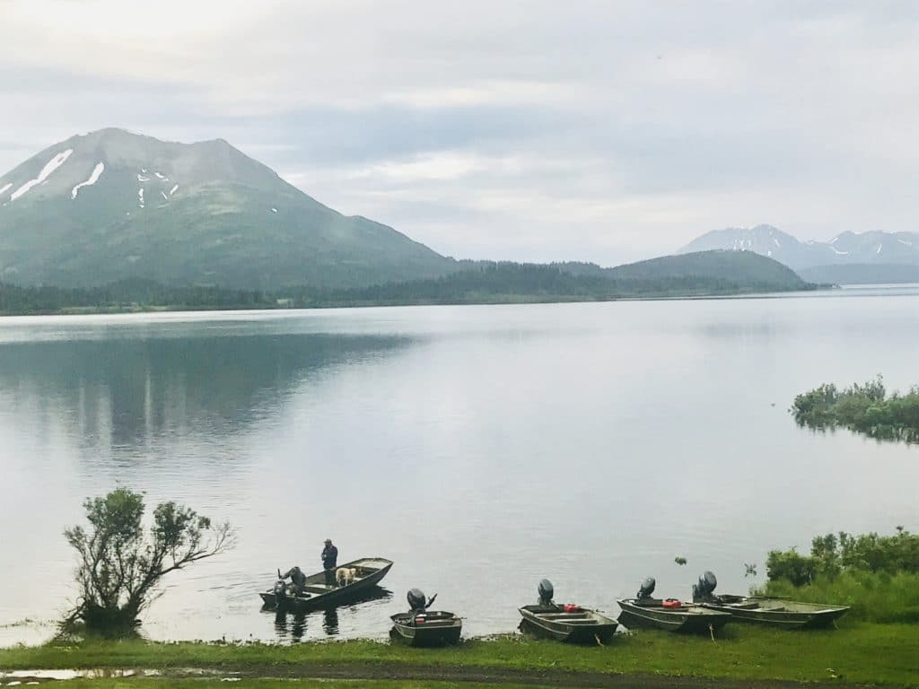 That night, I discovered the ultimate cure for insomnia: a hefty from-scratch meal and a night-fishing session on Sunshine Creek