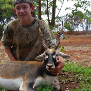 Blackbuck antelope hunts in Hawaii