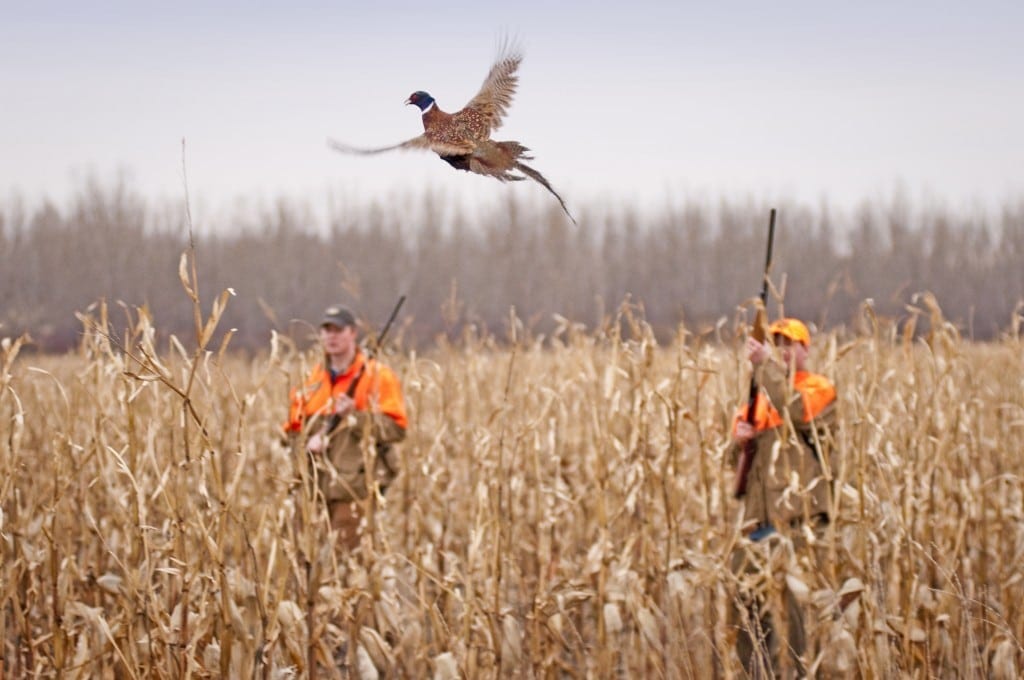 South Dakota Cast and Blast