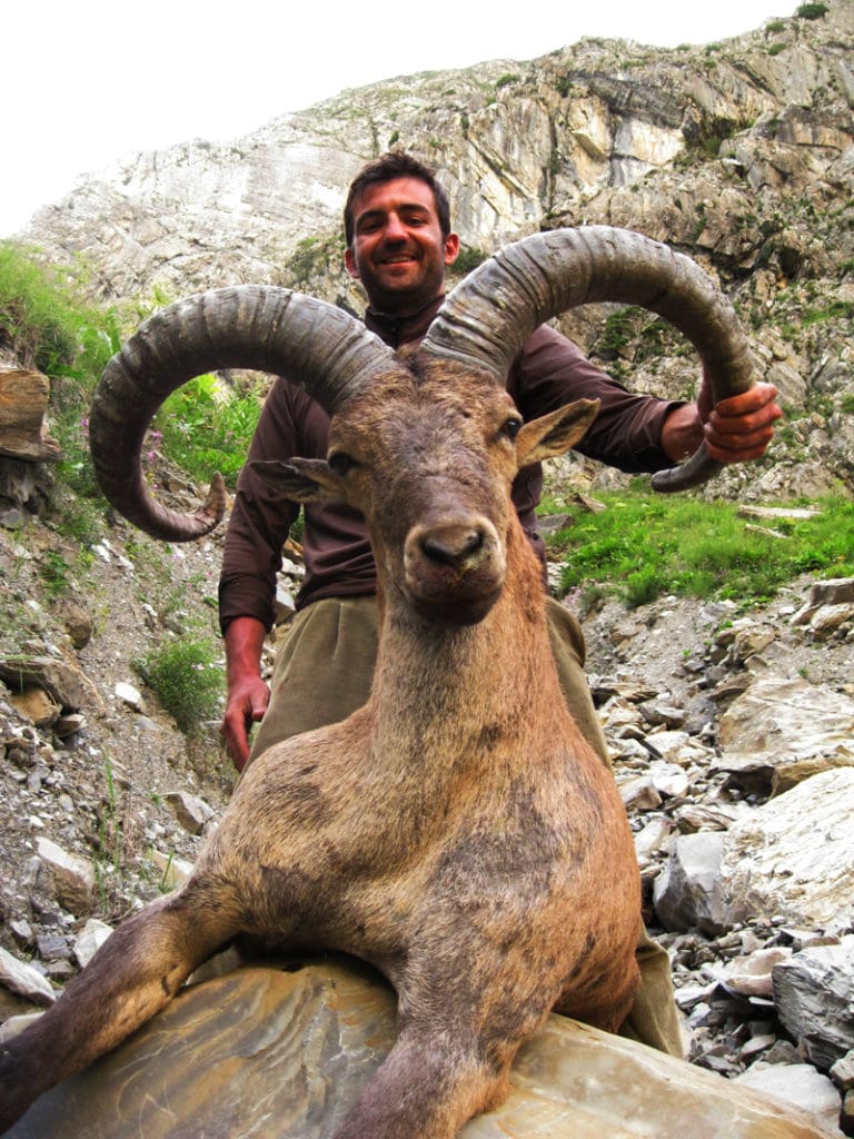 hunt Dagestan Tur in July or August