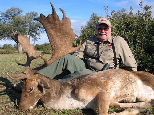 A gigantic Spanish fallow buck
