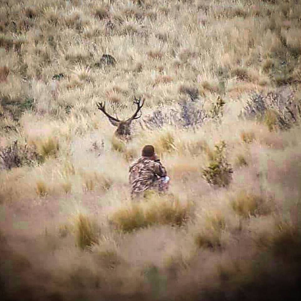 Russ Meyer stalking a Red Stag in New Zealand.
