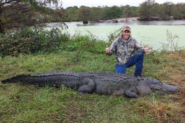 Florida Alligator Hunt Outdoors International 