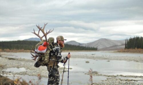 Packing out a caribou