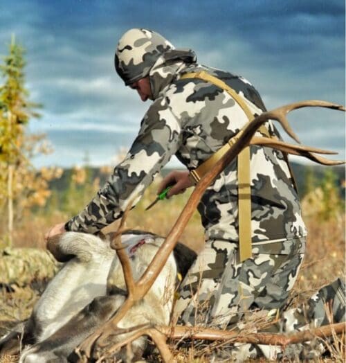 Field dressing a caribou