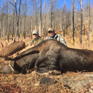 Shiras Moose Hunt in Washington State
