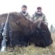 Alberta Free Range Bison Hunting