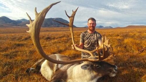 Kyle-Roberts-Caribou-DIY Alaska Client UGA » Outdoors International Kyle's great caribou bull.