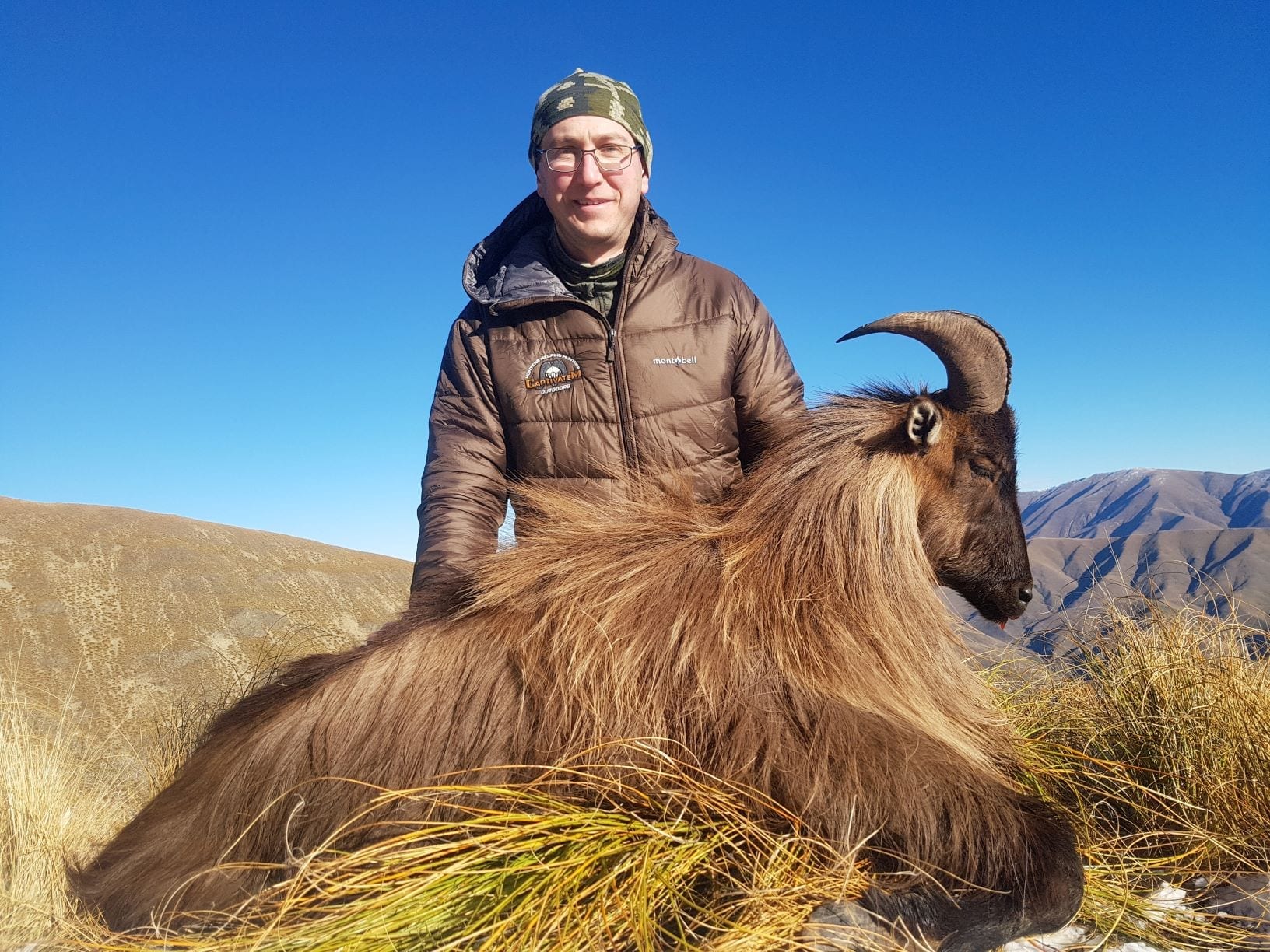 Typically, in New Zealand, you hunt chamois in combination with a Tahr