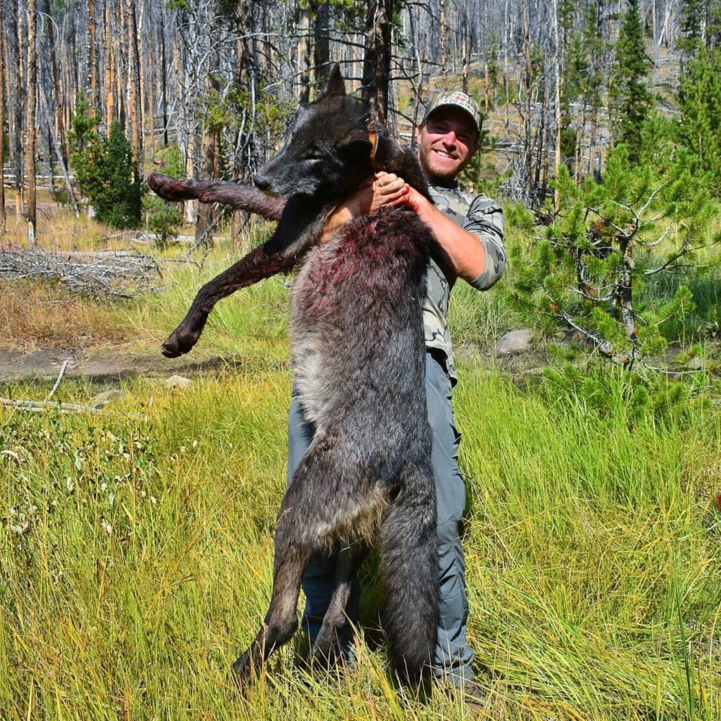  Zach Owens with his Idaho wolf.